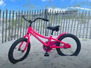 16″ Child Bike (4 – 6 Years Old)