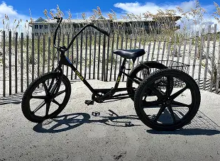 Adult 3 Wheeler